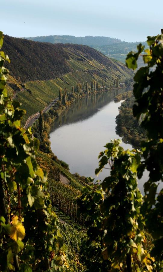 Weingut Berweiler Hotell Klusserath Exteriör bild